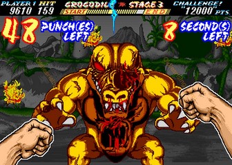 image de The First Funky Fighter